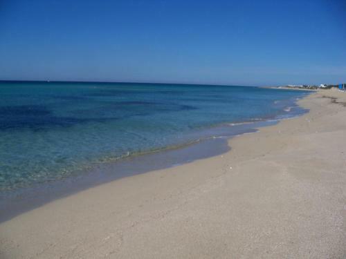Agroturismo Agriturismo Il Pavone