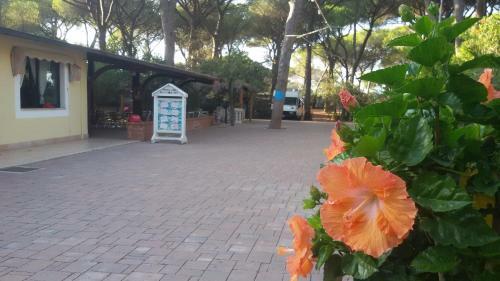 Camping Village Il Sole