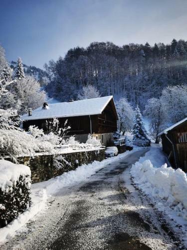 Chalet Familial Authentique Avec Jardin/chemin�e