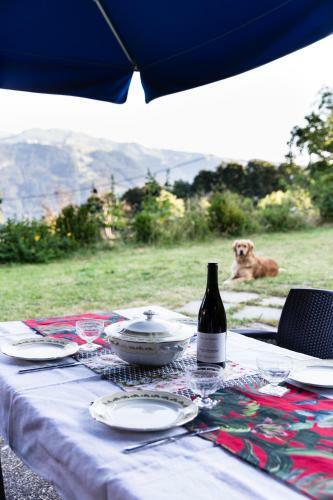 Chalet Familial Authentique Avec Jardin/chemin�e