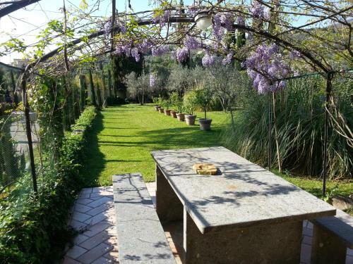 Bed & Breakfast Ulivi Di Castello