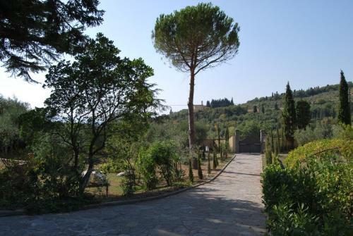 Bed & Breakfast Ulivi Di Castello