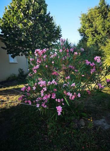 Apartamento Villa Vue D'exception Sur Pyr�n�es Proche Mirepoix