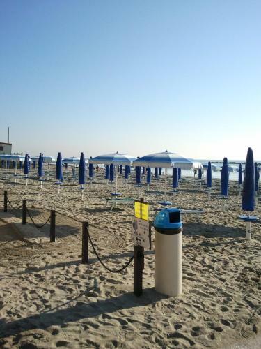 Camping Ancora