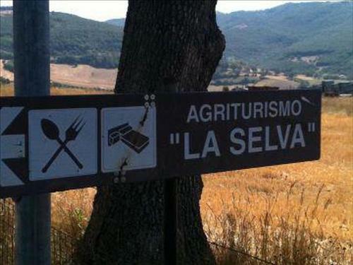 Agroturismo Agriturismo La Selva