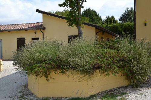 Agroturismo Agriturismo La Selva