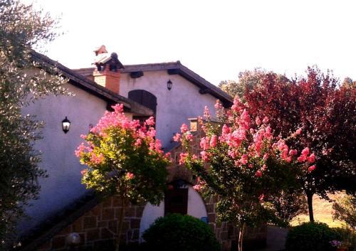 Bed & Breakfast La Filagna Country House
