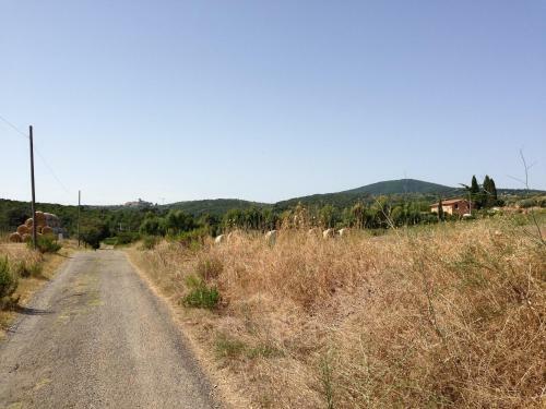 Agroturismo Agriturismo San Mauro