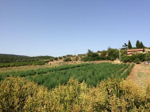 Agroturismo Agriturismo San Mauro