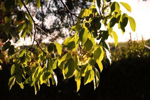 Agroturismo Agriturismo San Mauro