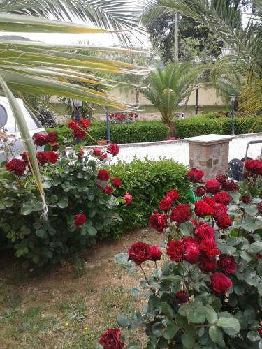 Villa Elisa B&B