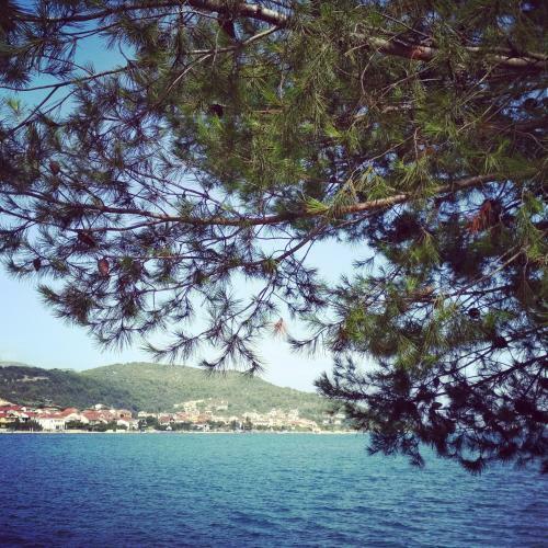 Apartman Nede