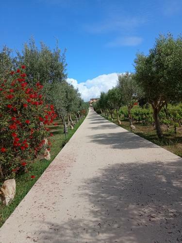 Il Poggetto Marzamemi - Lemon House