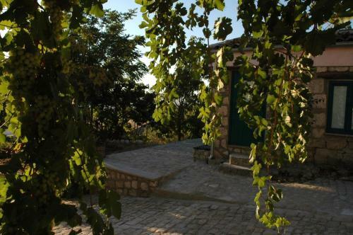 Apartamento Eleutheria