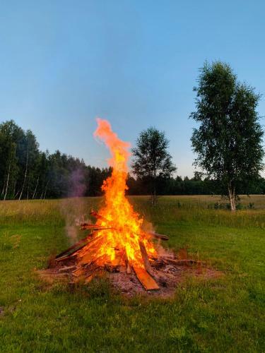 Hallika Sauna