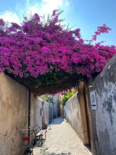 Apartamento Lipari Centro Storico Flat 7 Mins From Port