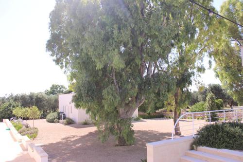 Agroturismo Terreamare