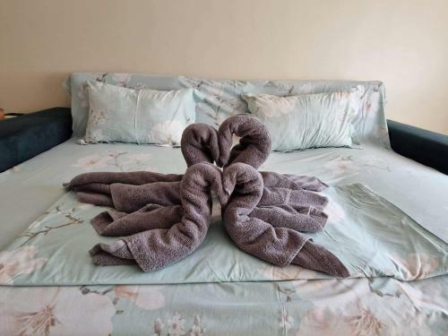 Apartament Madalina Motoianu