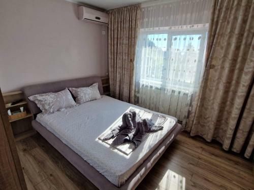 Apartament Madalina Motoianu