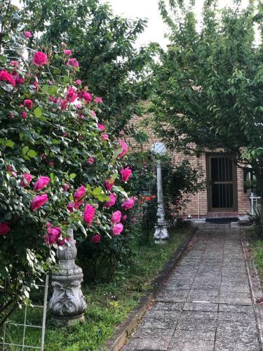 Apartamento Villa Elita - Bela Crkva