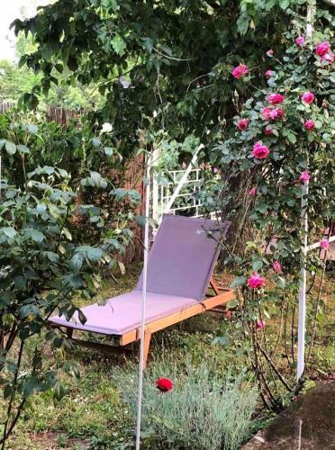 Apartamento Villa Elita - Bela Crkva
