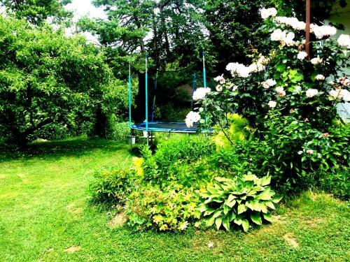 Apartment Ivana B