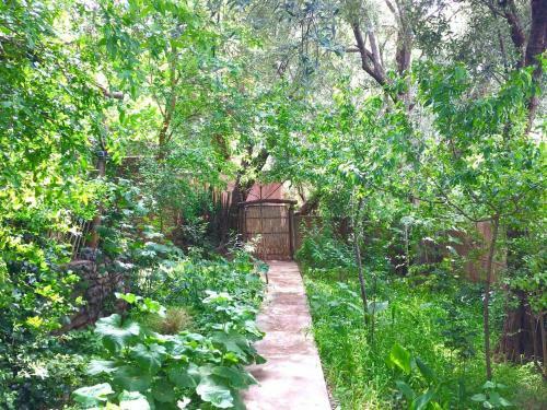 Atlas Mountains Bohemian Retreat