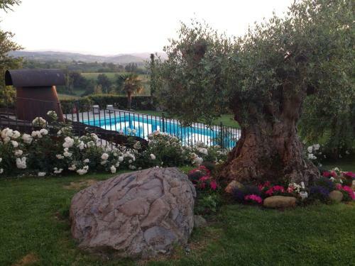 La Vedetta Bed And Breakfast