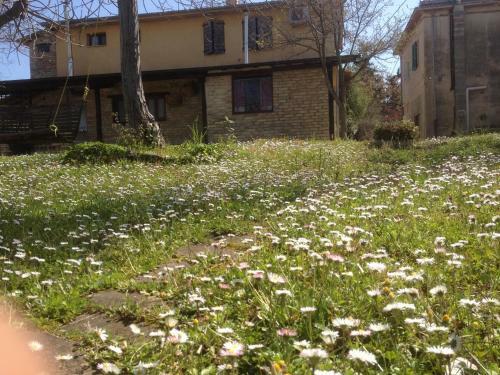 Agroturismo Agriturismo Via Del Campo
