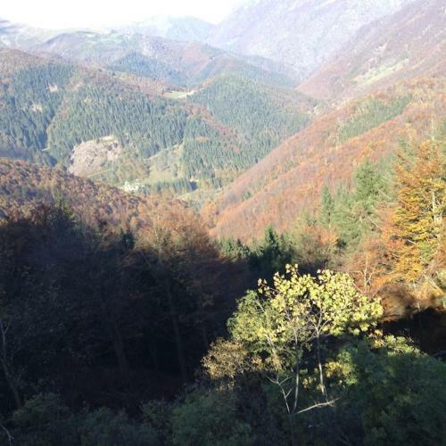 Hostal Locanda Bocchetto Sessera