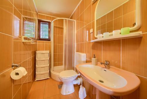 Apartment Ivana
