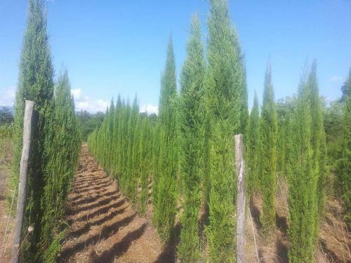 Agricampeggio Madonna Di Pogi