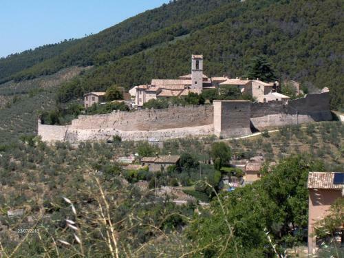 Apartamento Agriturismo Il Palazzetto