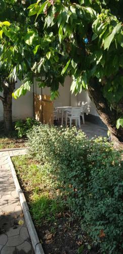 Hostal Julia Guesthouse