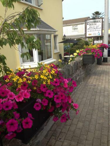 Liosderrig House B&B