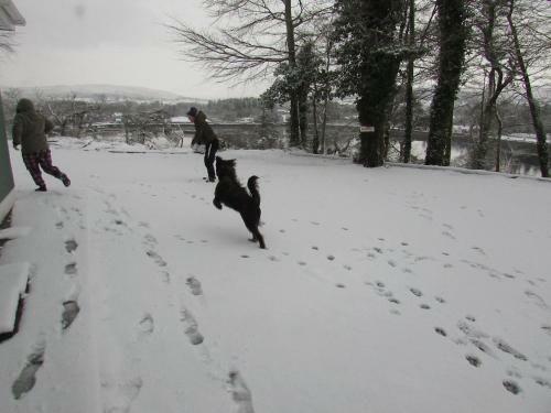 Hostal Watersedge Seaviews