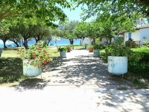 Spacious Apartment On The Beach, Methoni