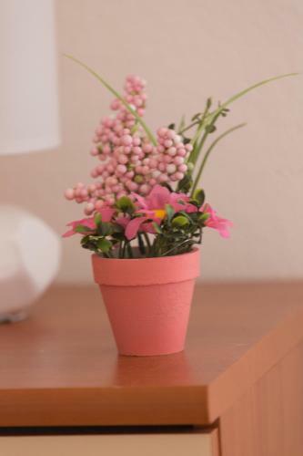 Apartmani Bruna