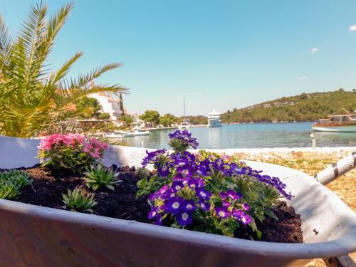 Hostal Guesthouse Sanela
