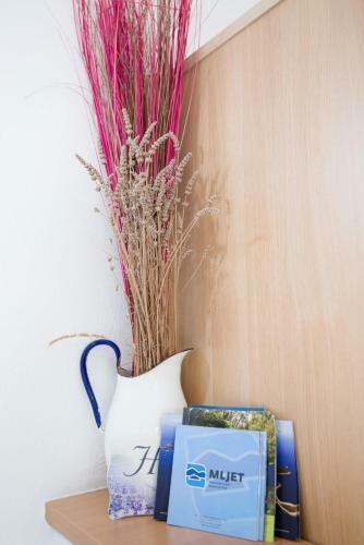 Hostal Guesthouse Sanela