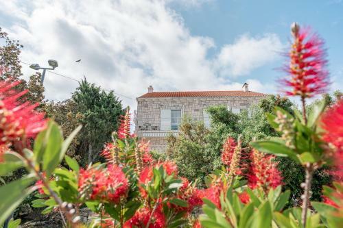 Hostal Guesthouse Kamarin