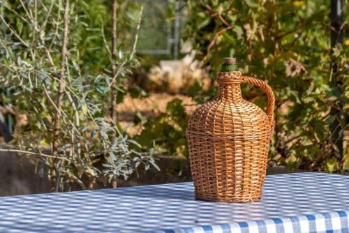 Apartamentos Villa Olive