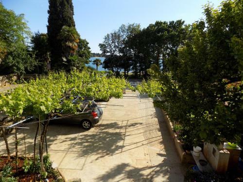 Apartment Vista Mare