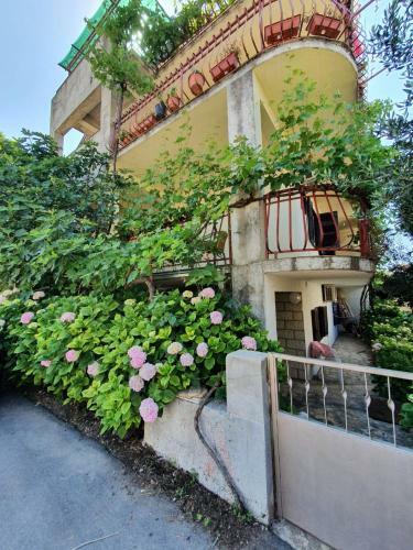 Apartamentos Neva