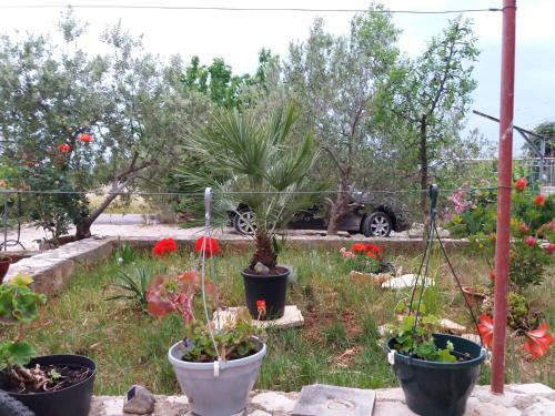 Apartman Lea