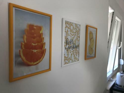 Studio Apartman Fani
