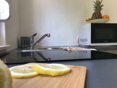 Studio Apartman Fani