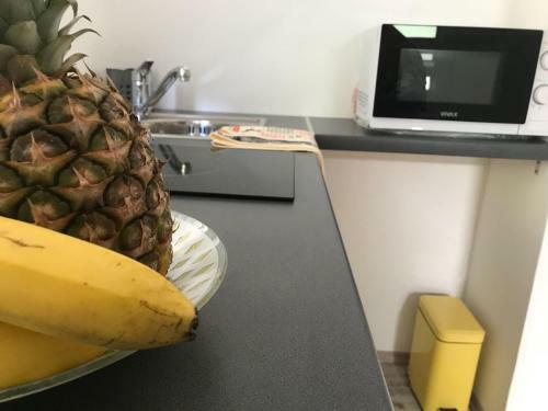 Studio Apartman Fani