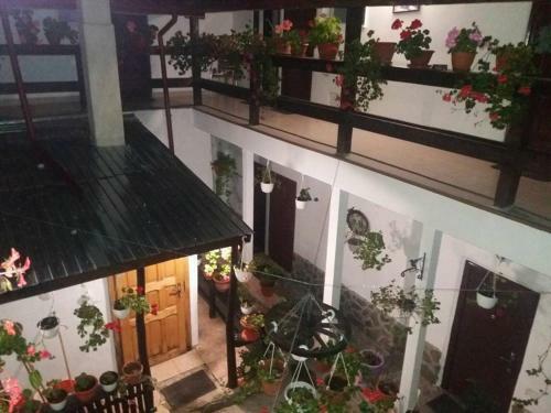 Hostal Pensiunea Casa Montana