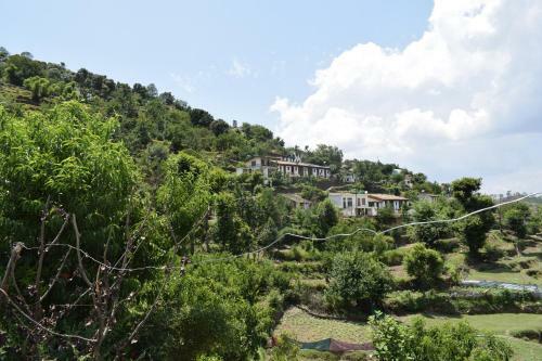Villotale Peora Dh